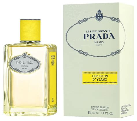 prada infusion d ylang